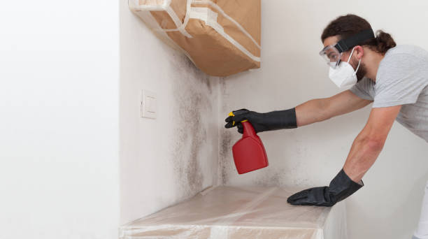 Professional Bathroom Mold Removal technician working in Mendota, MN